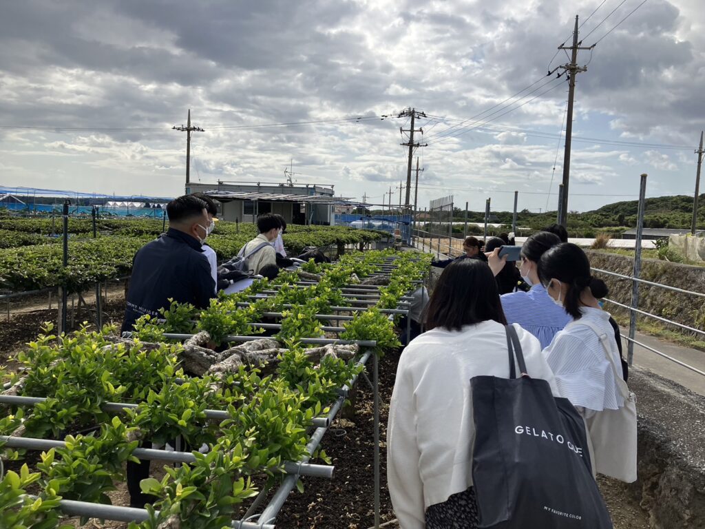 高１・沖縄研修旅行Ｂ団２日目