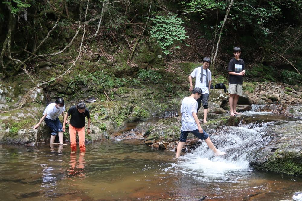 自然探究部・夏活動