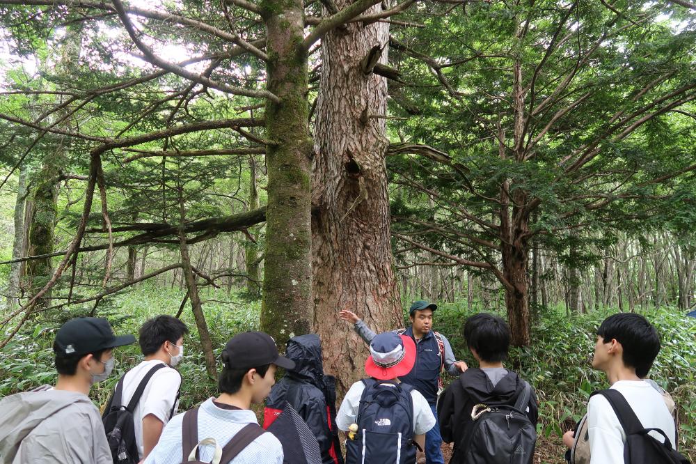 自然探究部・上高地自然観察会