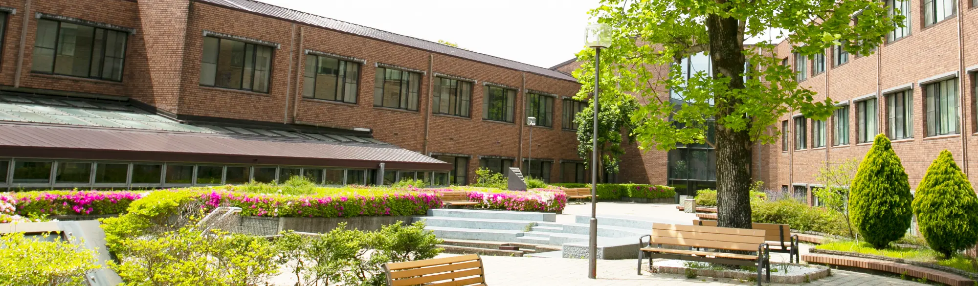 学校紹介